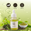 Beauty of Joseon Calming Serum : Green Tea + Panthenol — image 11