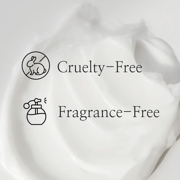 Beauty of Joseon Dynasty Cream — image 6