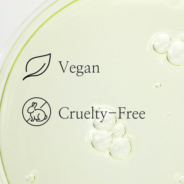 Beauty of Joseon Calming Serum : Green Tea + Panthenol — image 7