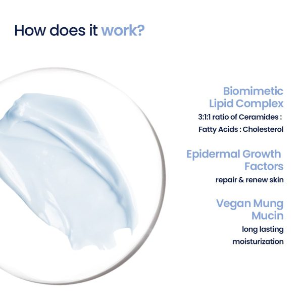 WishCare 3:1:1 Barrier Moisturizer – view 4