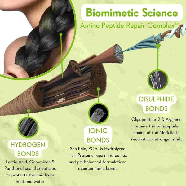 WishCare Bond Shampoo – view 3